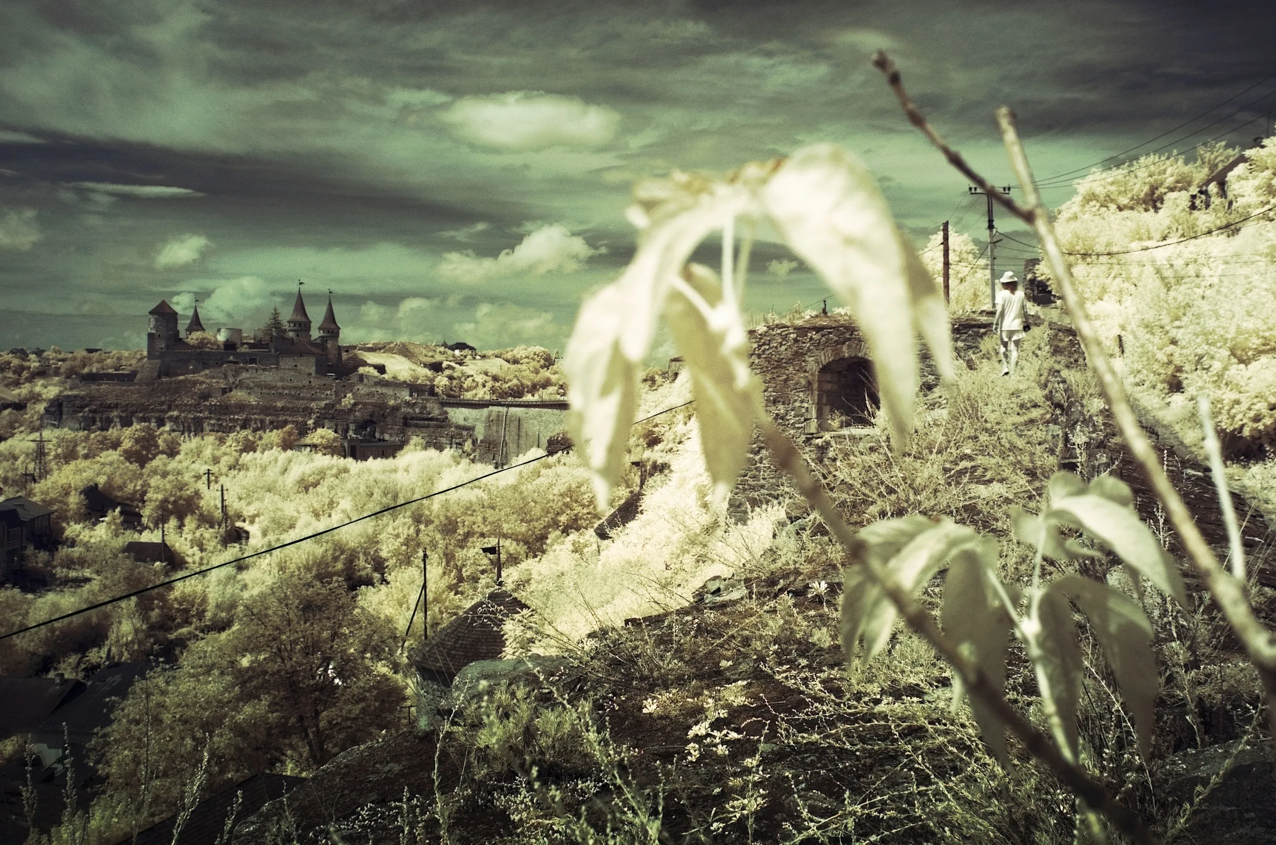 Featured near-infrared photograph